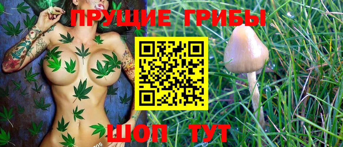 Улан-Удэ  Галлюциногенные грибы Psilocybe  Вход с VPN 